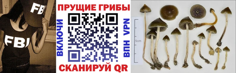 продажа наркотиков  KRAKEN зеркало  Галлюциногенные грибы ЛСД  Чистополь 