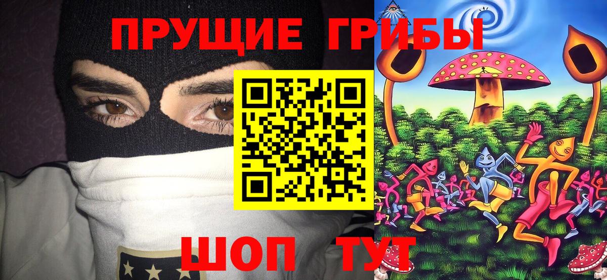 Псилоцибиновые грибы Psilocybine cubensis Чистополь