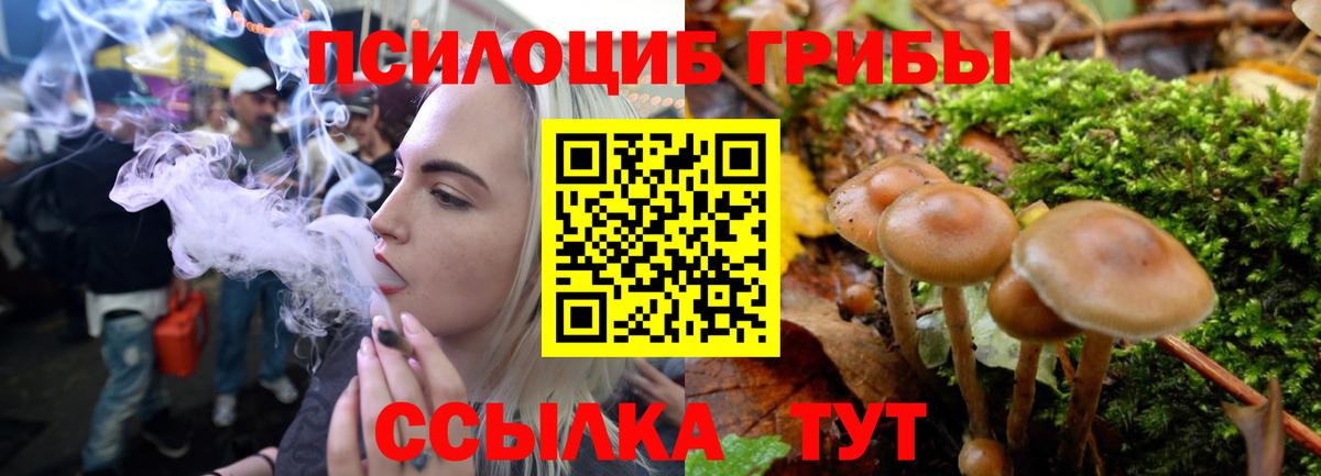 Чистополь  Галлюциногенные грибы Magic Shrooms  Вход с VPN 